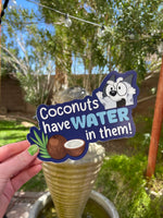 "Coconuts have water in them!" Vinyl Sticker | Water Bottle Sticker | Laptop Decal | Bumper Stickers | Car Sticker |