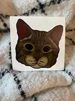 Domestic Short Hair Cat Vinyl Sticker | Cat Stickers | Pet Stickers | Water Bottle Decal | Laptop Decals | Bumper Stickers |