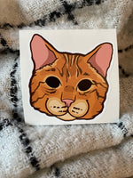 Domestic Short Hair Cat Vinyl Sticker | Cat Stickers | Pet Stickers | Water Bottle Decal | Laptop Decals | Bumper Stickers |